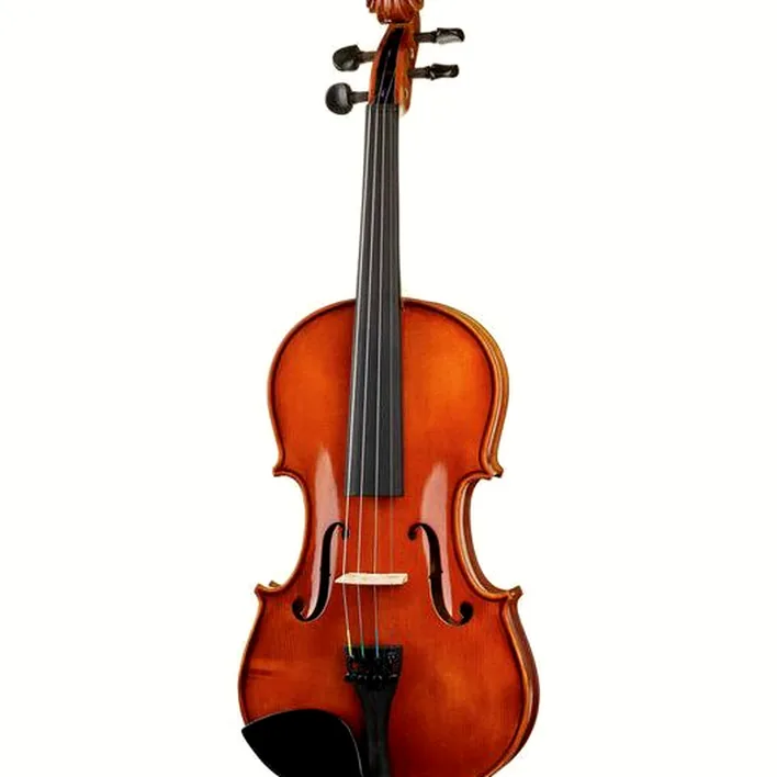 Alfred Stingl By Hoefner As 190 V Violin Set 4 4
