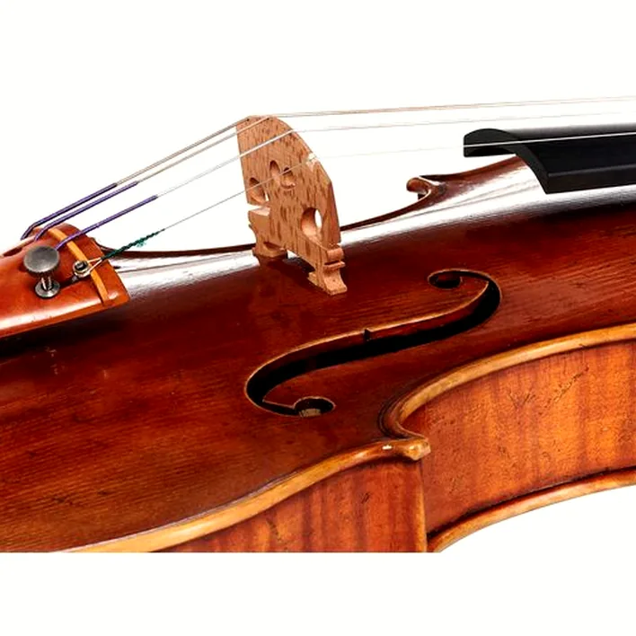 Andrea Varazzani Vio Mod Guarneri Lord Wilton