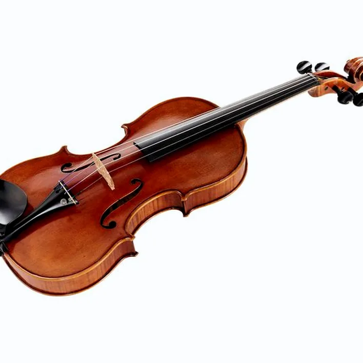Andrea Varazzani Violin Model Capicchioni