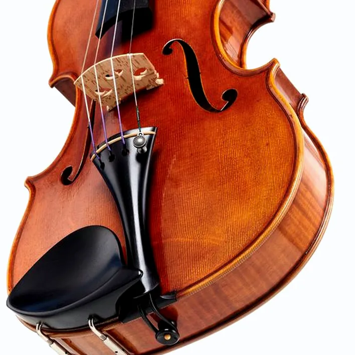 Andrea Varazzani Violin Model Capicchioni
