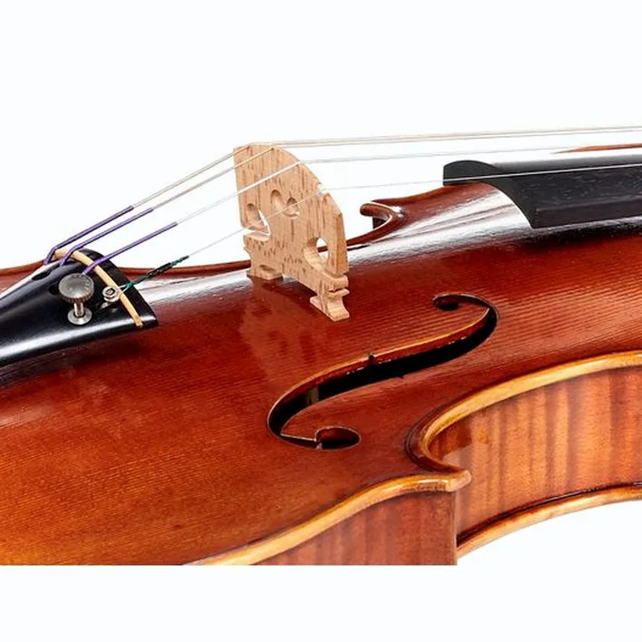 Andrea Varazzani Violin Model Capicchioni