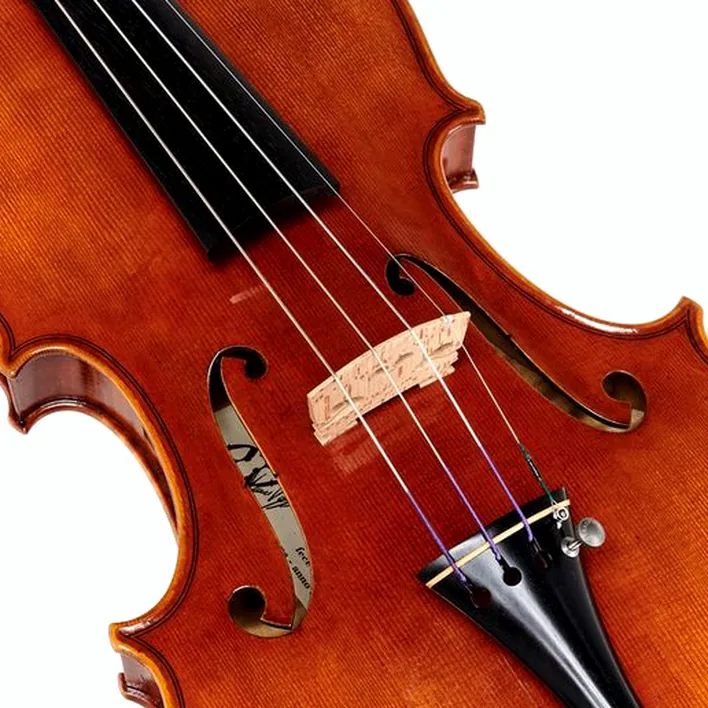 Andrea Varazzani Violin Model Capicchioni