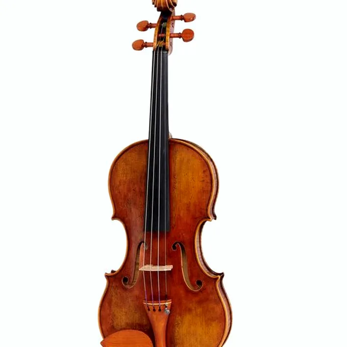 Andrea Varazzani Violin Model Guarneri Ysaye