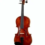 Artino VN-125 Premium Violin Set 4/4 Avis : Un achat intelligent pour les violonistes exigeants ?