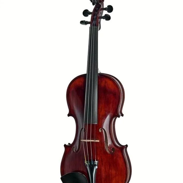 Conrad Goetz Heritage Bohemia 108 Violin