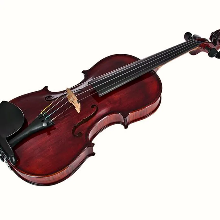 Conrad Goetz Heritage Bohemia 108 Violin
