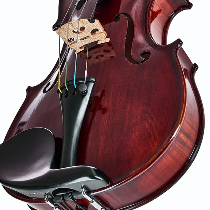 Conrad Goetz Heritage Bohemia 108 Violin