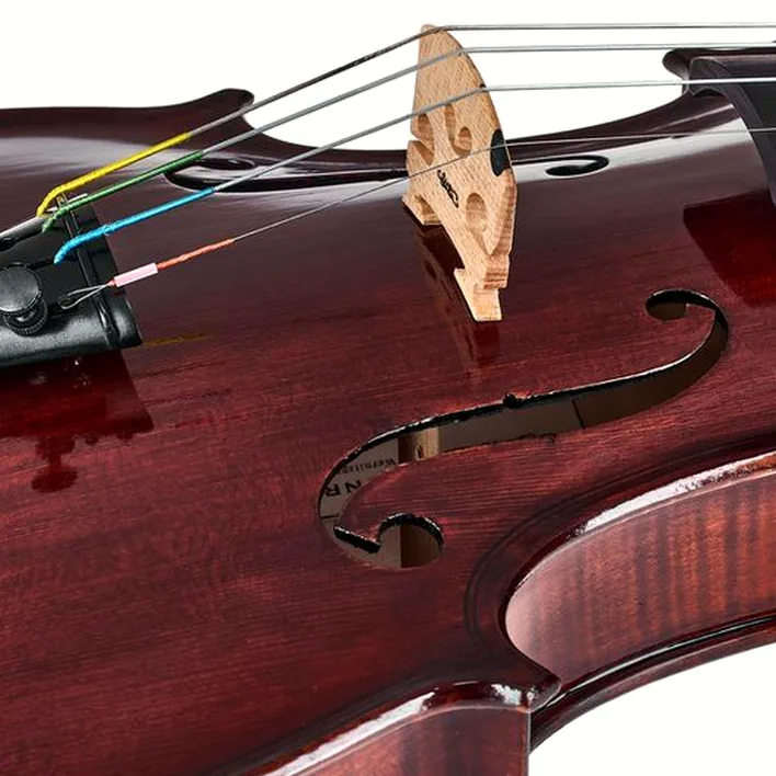 Conrad Goetz Heritage Bohemia 108 Violin