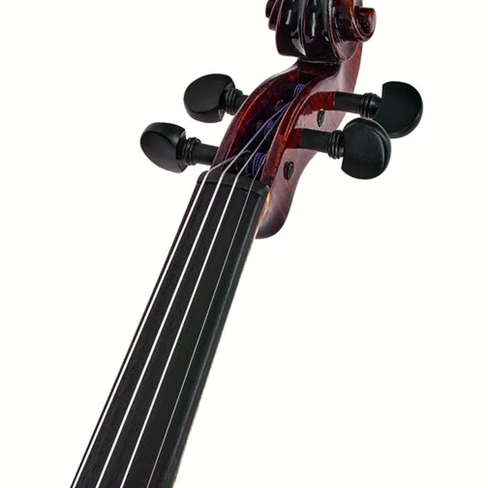Conrad Goetz Heritage Bohemia 108 Violin