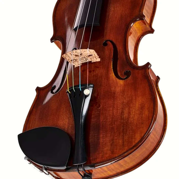 Conrad Goetz Heritage Contemp 125F Violin