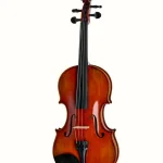 Eastman Albert Nebel Violin VL601G+ Avis : Les vrais avantages et défauts de ce modèle