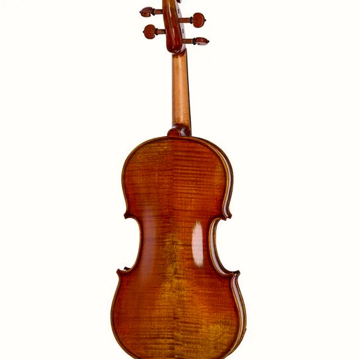 Eastman Andreas Eastman Violin Vl405