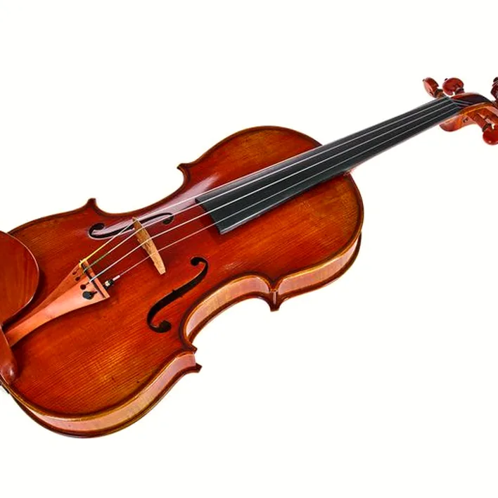 Eastman Andreas Eastman Violin Vl405