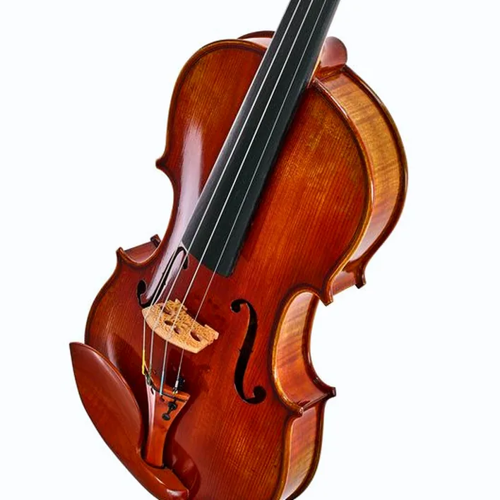 Eastman Andreas Eastman Violin Vl405