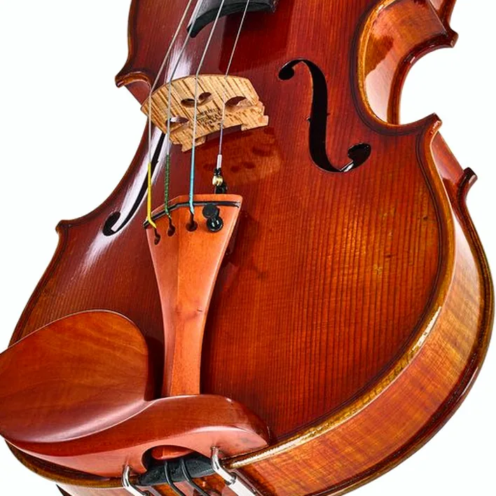Eastman Andreas Eastman Violin Vl405
