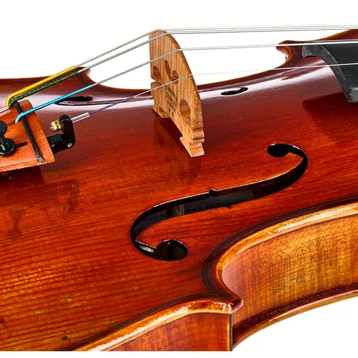 Eastman Andreas Eastman Violin Vl405