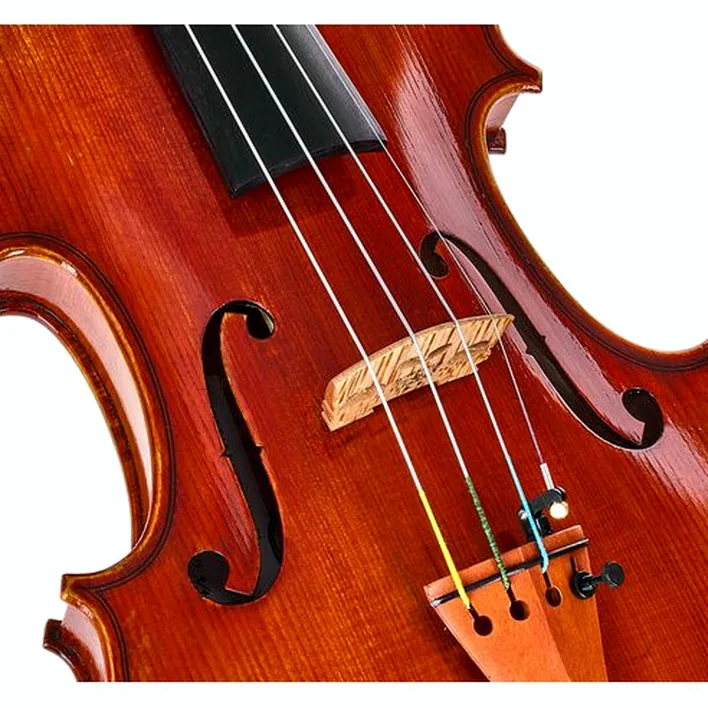 Eastman Andreas Eastman Violin Vl405