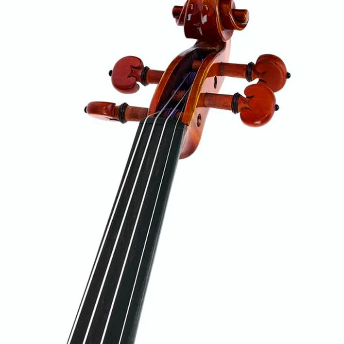Eastman Andreas Eastman Violin Vl405