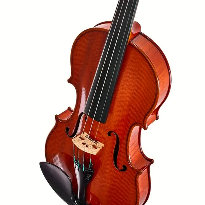 Ernst Heinrich Roth 51 120 R Concert Violin 4 4