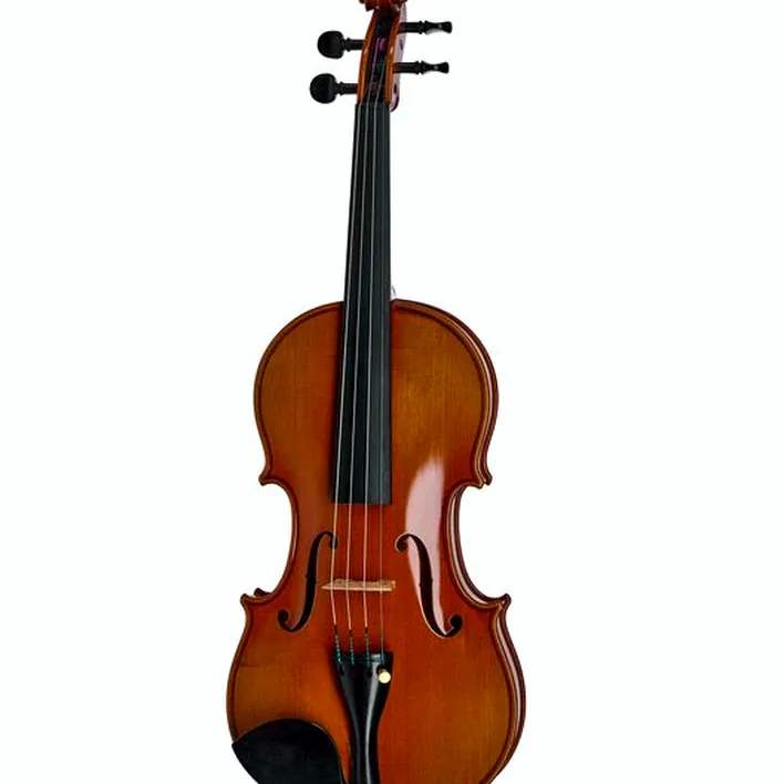 Ernst Heinrich Roth 52 I R Concert Violin 4 4