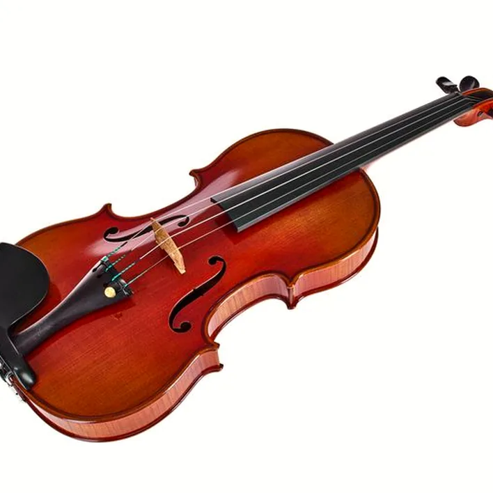 Ernst Heinrich Roth 54 Iv R Concert Violin 4 4