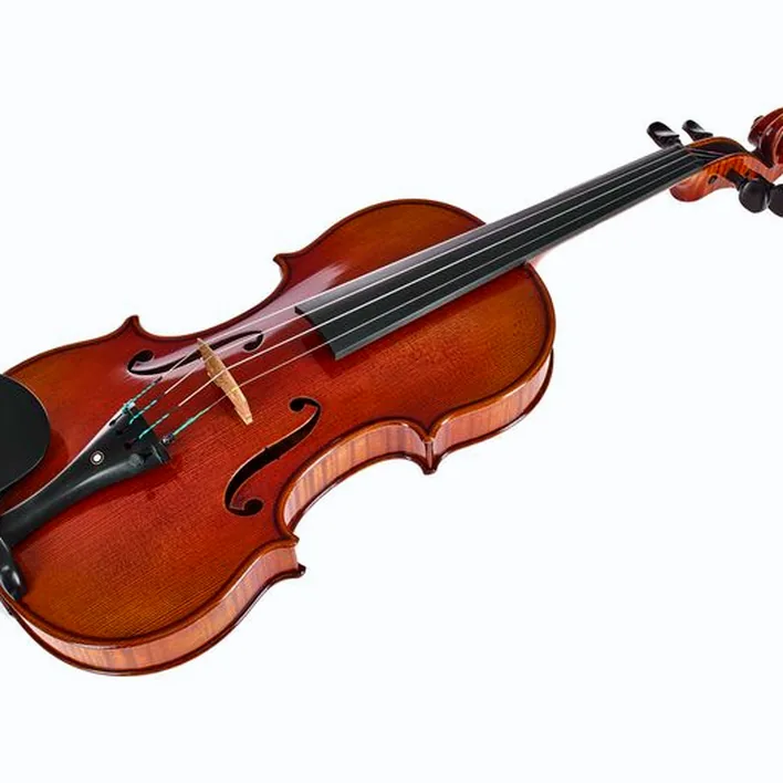 Ernst Heinrich Roth 64 Ix R Master Violin