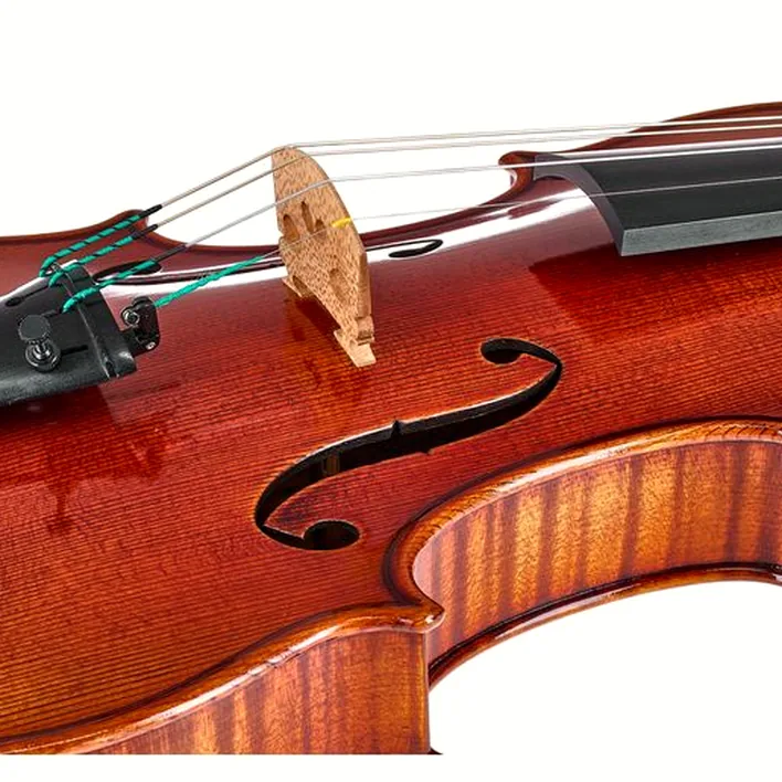 Ernst Heinrich Roth 64 Ix R Master Violin