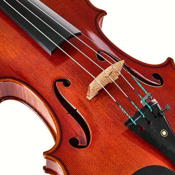 Ernst Heinrich Roth 64 Ix R Master Violin