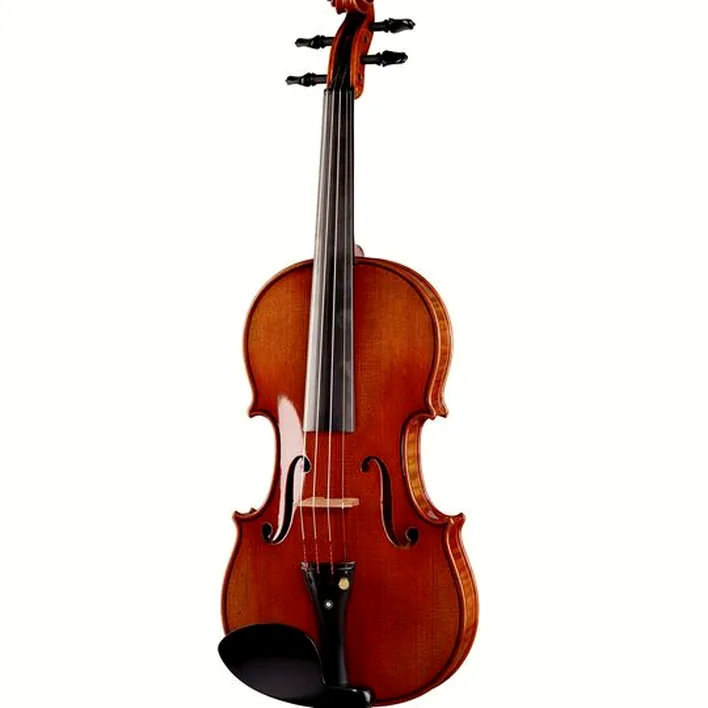 Ernst Heinrich Roth 72 Xi R Master Violin 4 4