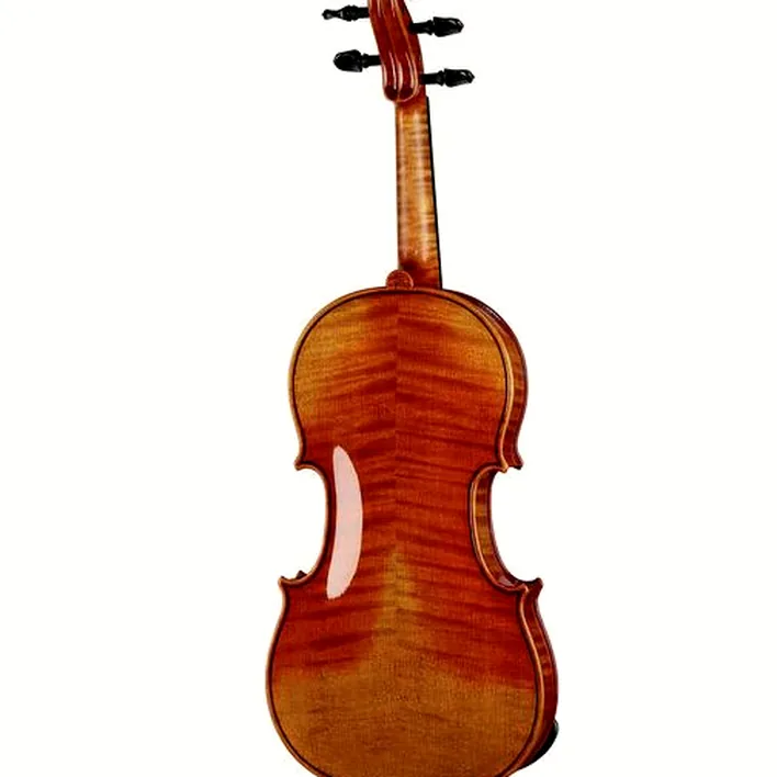 Ernst Heinrich Roth 72 Xi R Master Violin 4 4