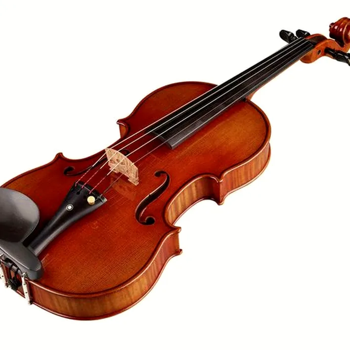 Ernst Heinrich Roth 72 Xi R Master Violin 4 4