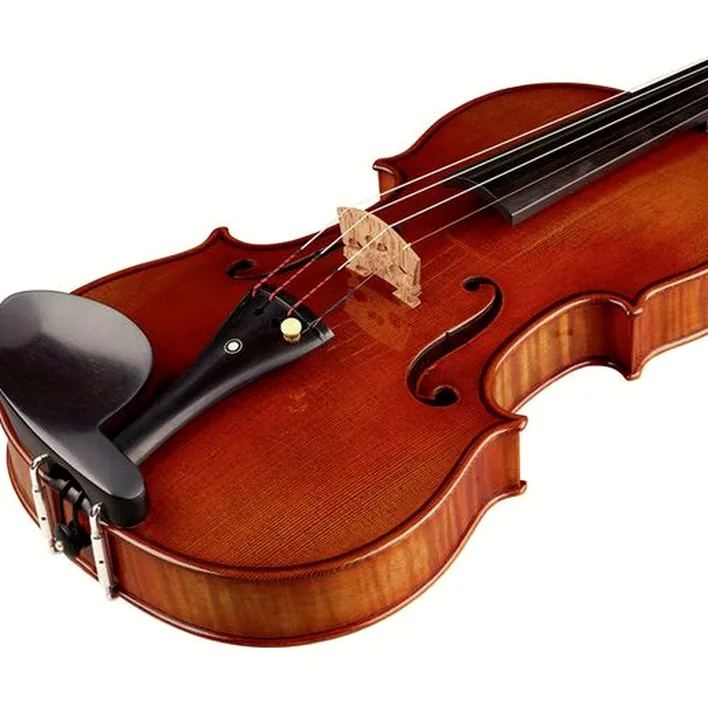 Ernst Heinrich Roth 72 Xi R Master Violin 4 4