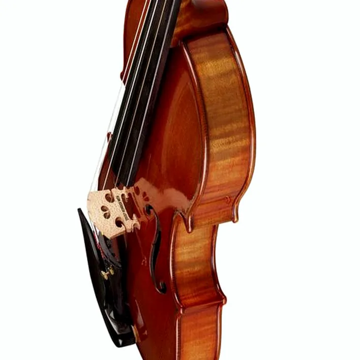 Ernst Heinrich Roth 72 Xi R Master Violin 4 4