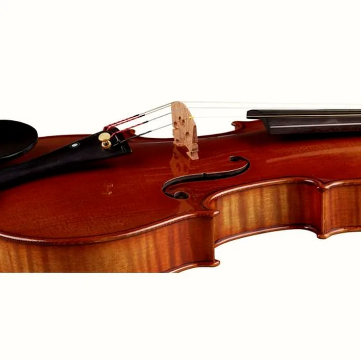 Ernst Heinrich Roth 72 Xi R Master Violin 4 4