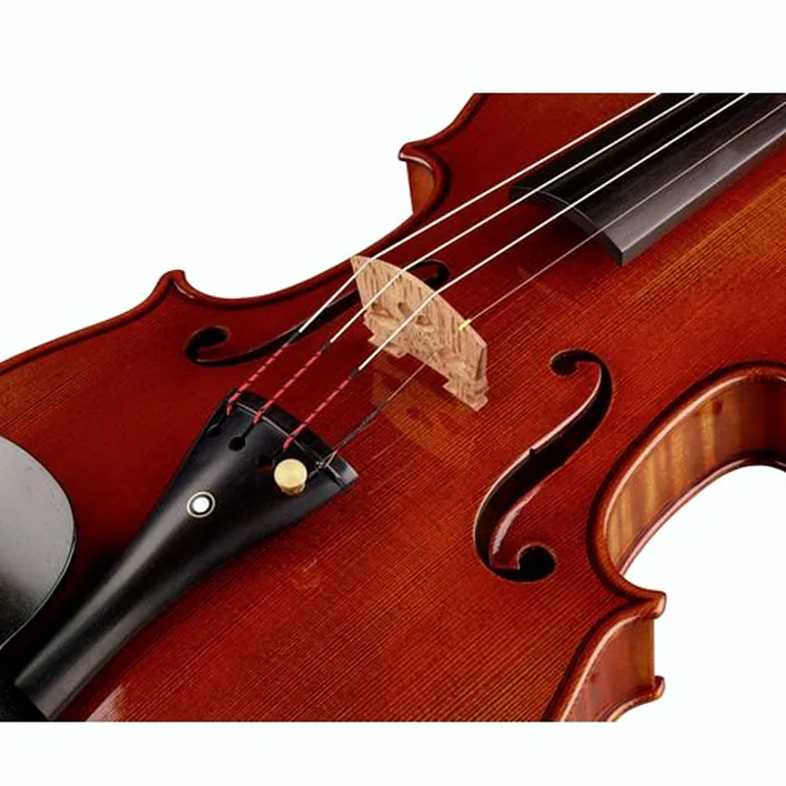 Ernst Heinrich Roth 72 Xi R Master Violin 4 4