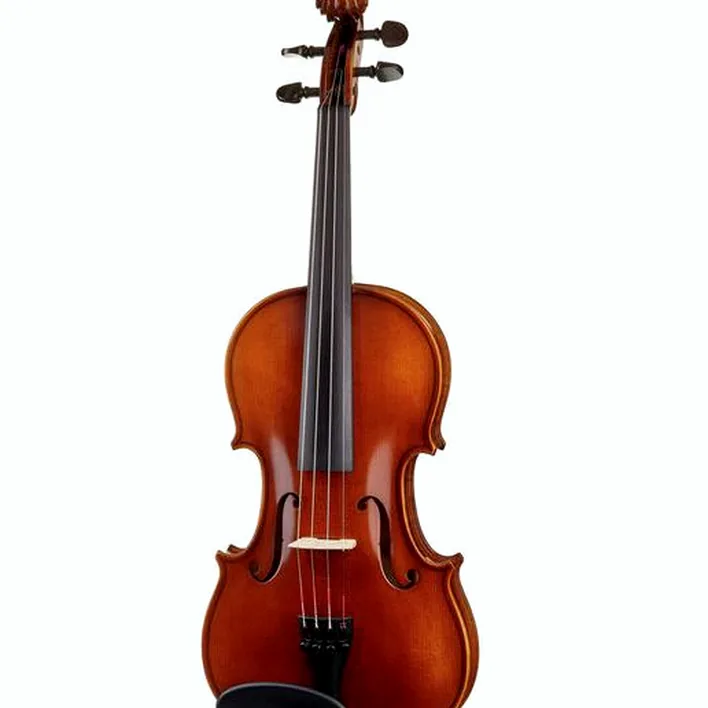 Franz Sandner 601 Violin Set 4 4