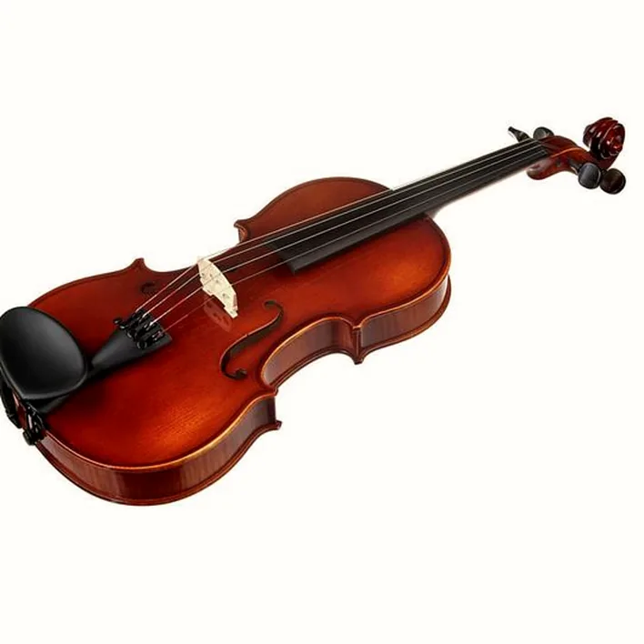 Franz Sandner 601 Violin Set 4 4