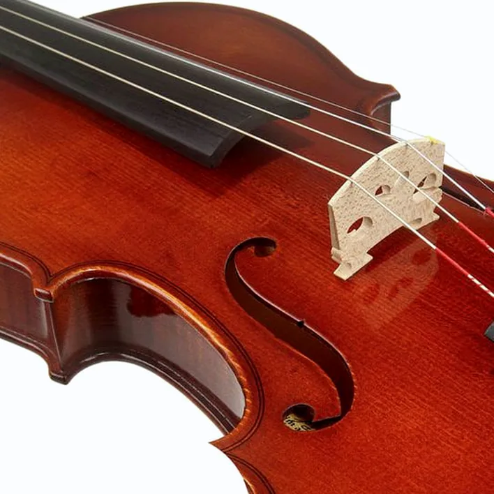 Franz Sandner 601 Violin Set 4 4