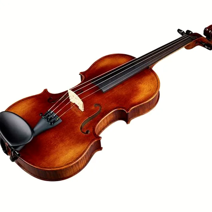 Franz Sandner Black Lady Violin 4 4
