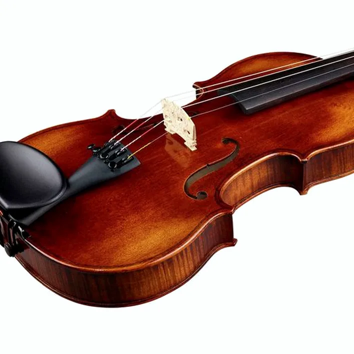 Franz Sandner Black Lady Violin 4 4