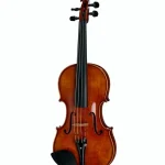 Franz Sandner Century De Luxe Strad. Vn Avis : Tour d’horizon complet et objectif de l’instrument