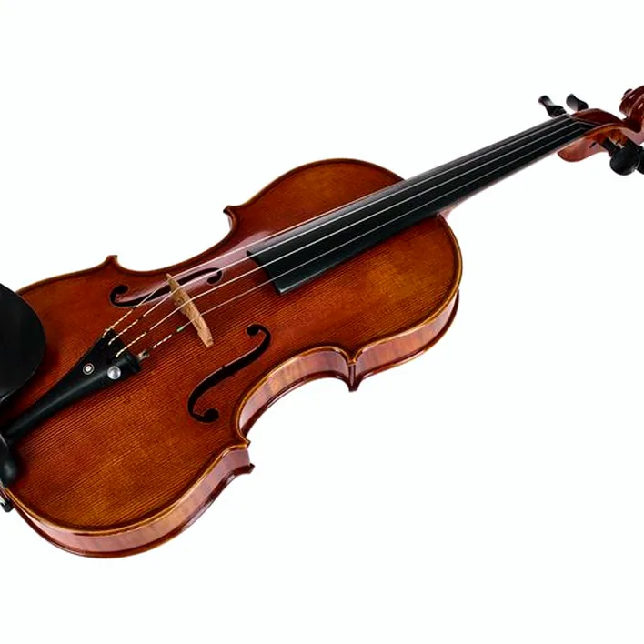 Franz Sandner Century De Luxe Strad Vn