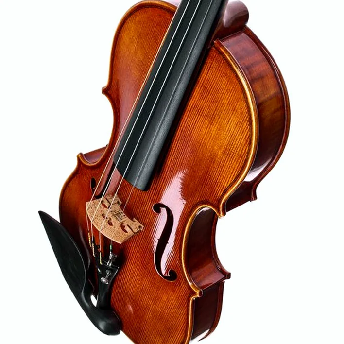 Franz Sandner Century De Luxe Strad Vn