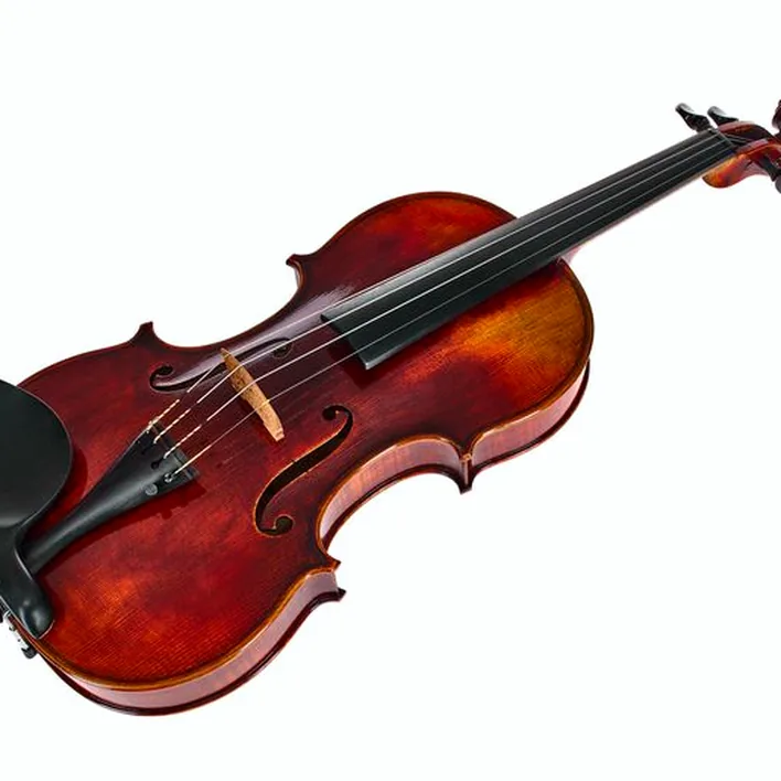 Franz Sandner Meisterwerk Master Violin 4 4