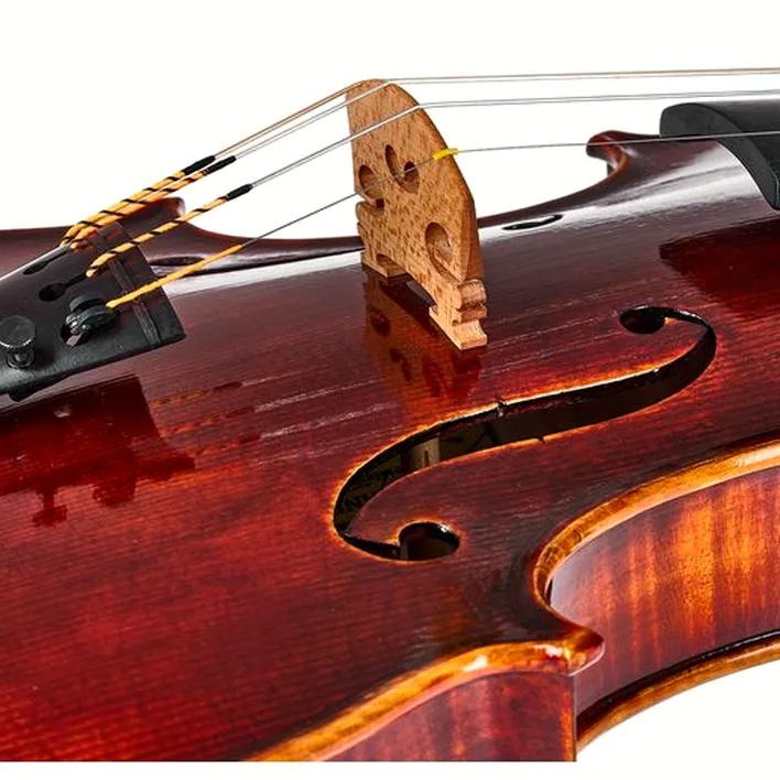 Franz Sandner Meisterwerk Master Violin 4 4