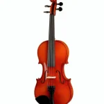 Franz Sandner Schönbach Violin Mod.101 4/4 Avis : Analyse rapide des éléments essentiels du montage