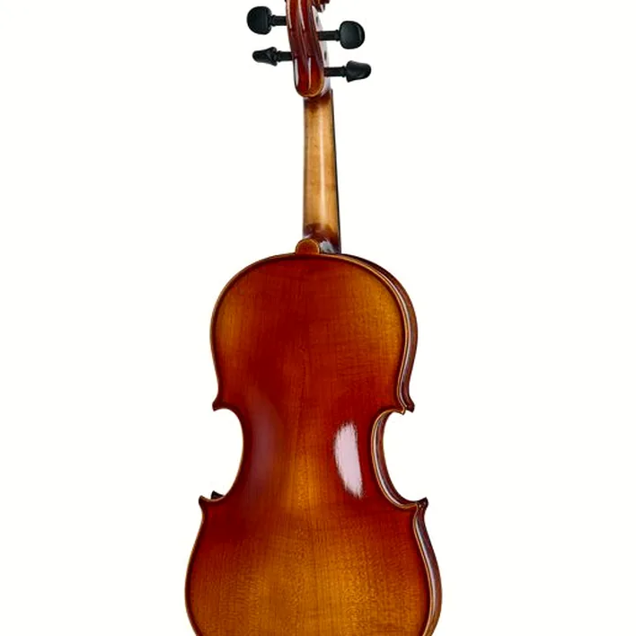 Gewa 100Th Anniversary Violin 4 4
