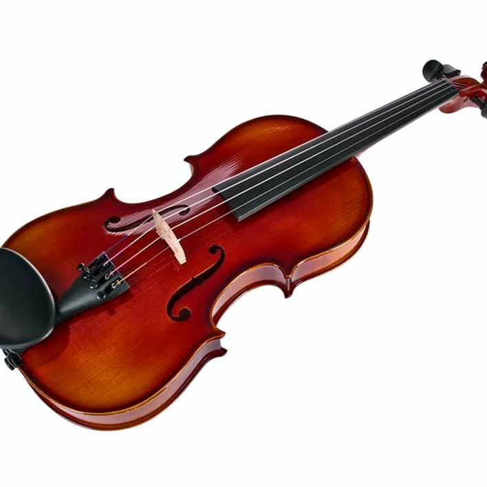 Gewa 100Th Anniversary Violin 4 4