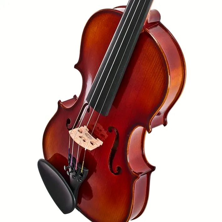 Gewa 100Th Anniversary Violin 4 4