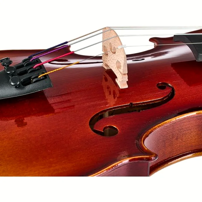 Gewa 100Th Anniversary Violin 4 4